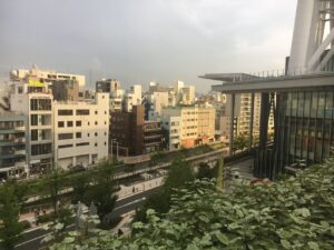 Keren Banget Suasana Tokyo : Kota Idaman untuk Pemandangan Asri
